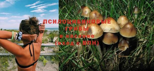ГАЛЛЮЦИНОГЕННЫЕ ГРИБЫ Алексин