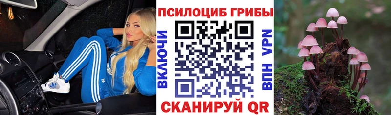 сайты даркнета как зайти  гидра рабочий сайт  Новопавловск  Псилоцибиновые грибы мухоморы 